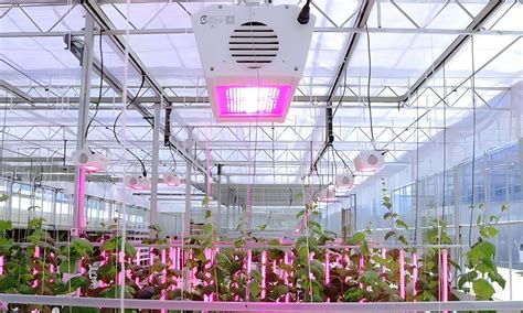 Best Greenhouse Equipment Factory, Exporter | Miilkiia