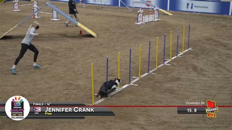 Jennifer Crank And P Nk Win The Akc National Agility Championships