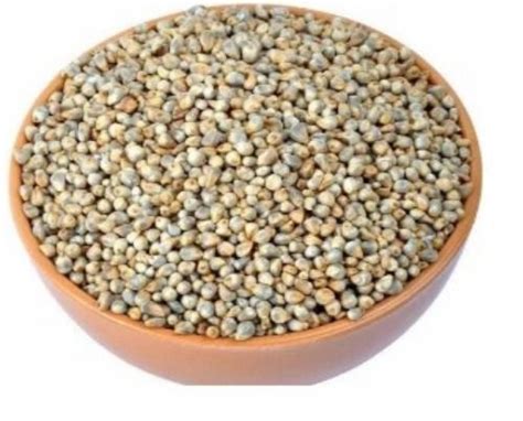 Pearl Millet For Cattle Feed Cooking Style Dried At Best Price In