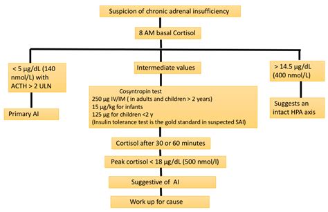 Adrenal Insufficiency Pathophysiology