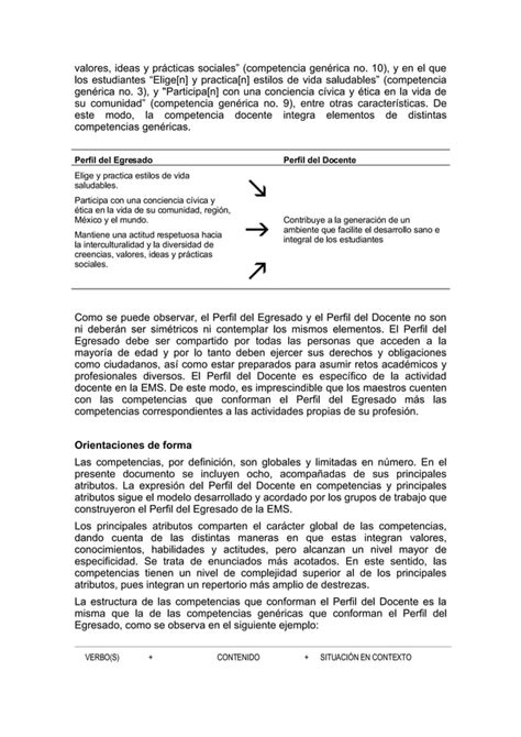 Perfil Docente Pdf