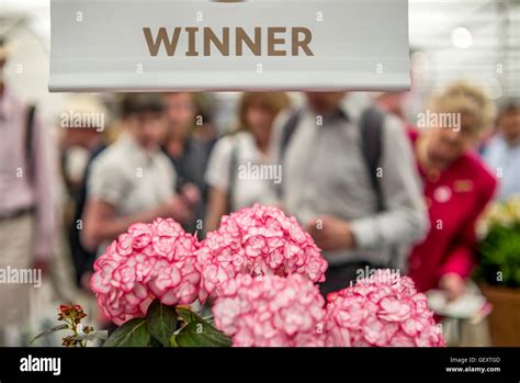 The Rhs Chelsea Flower Show Held In The Grounds Of The Royal Hospital