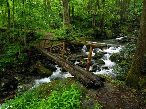 Hiking Mt. LeConte | Frugal Backpacker