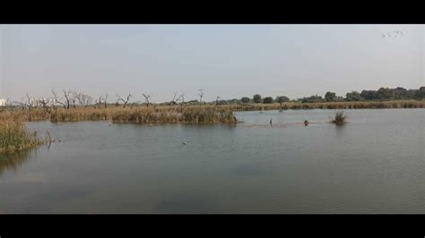 Reviving Lucknows Ecosystem 108 Wetlands Set For Restoration