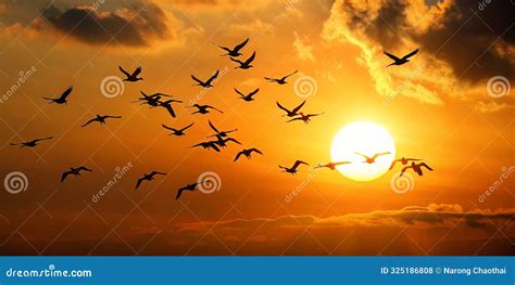 Flock Of Birds Flying Past The Sun Create Amazing Animations Generative