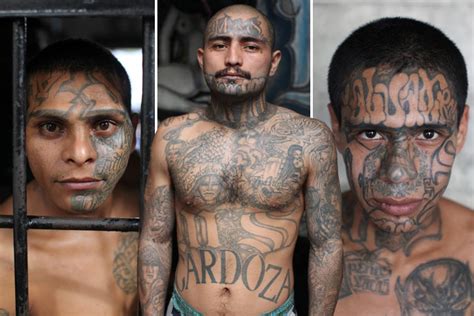 Images Capture The Tattooed Members Of El Salvadors Brutal Ms 13 Gang