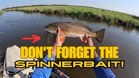 Lowstained Water Spinnerbait Gets It Done On A Windy Day Youtube