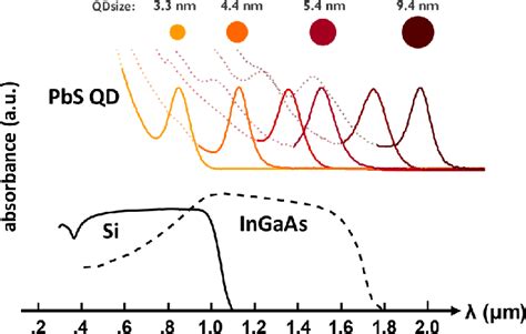 Quantum Size Effect In PbS Nanocrystals Tuning The Size Of The PbS QDs