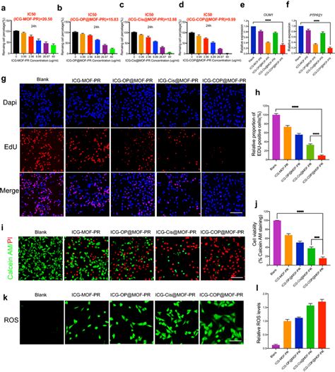 Biological Activity Of Nps Ad Dose Dependent Cell Viability Of Ocm A