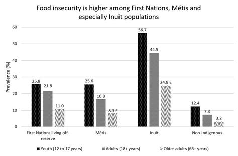 Food Insecurities And Inequalities In Canada Canada Ca