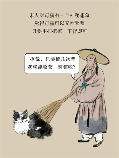 古人养猫图鉴 凤凰网