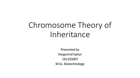 Chromosome Theory Of Inheritance Ppt