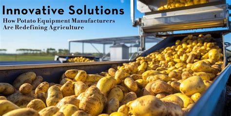 Innovative Solutions: How Potato Equipment Manufacturers Are Redefining Agriculture