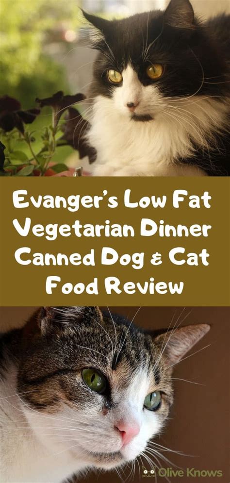 Evanger's Low Fat Vegetarian Dinner Canned Dog & Cat Food Review ...