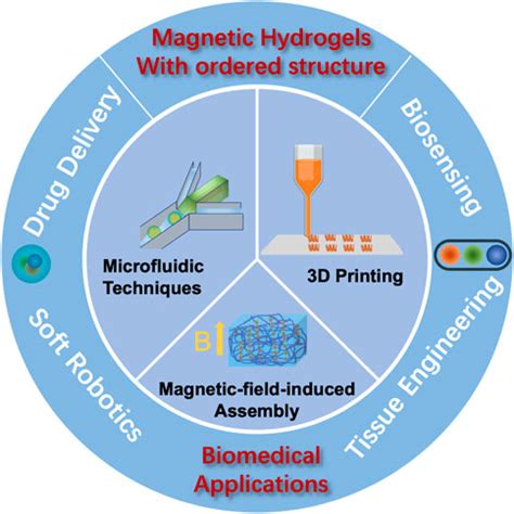 Frontiers Magnetic Hydrogels With Ordered Structure For Biomedical