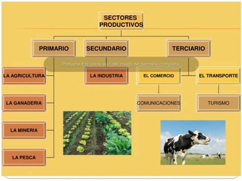 Sectores Productivos En El Peru