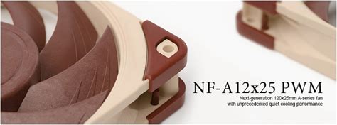 Noctua