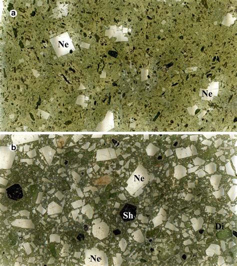 Nephelinite texture. (a) phenocryst-poor and (b) phenocrysts-rich ...