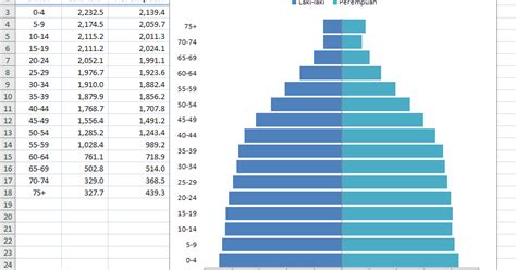 26 Cara Membuat Piramida Penduduk Di Excel 2007 References Blog