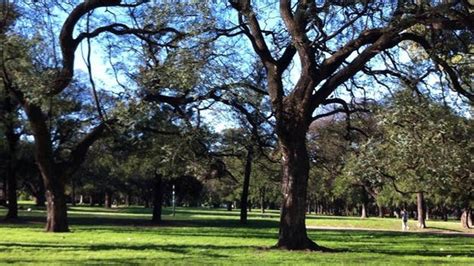 Misterio En Los Lagos De Palermo Qu Revel La Autopsia Del Hombre