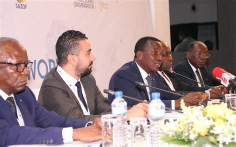 Togo Invest Et Sazof Semploient Faire Du Zes Une Alternative