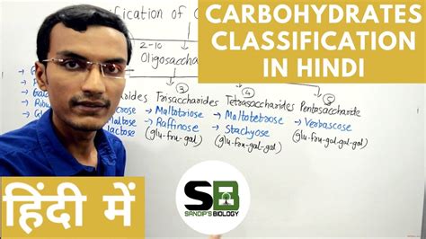 Classification Of Carbohydrates In Hindi YouTube