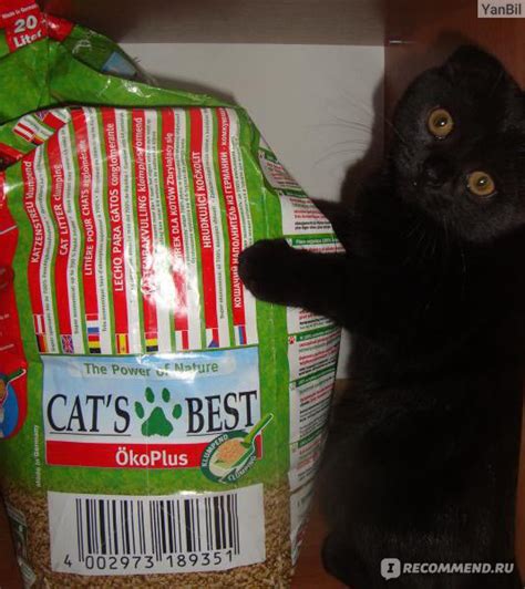 Наполнитель для кошачьего туалета Cat's Best Original - «Котенок успел ...
