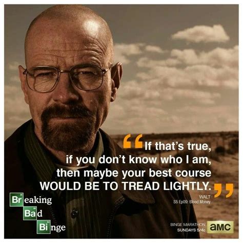 Breaking Bad Breaking Bad Tv Show Quotes Best Tv Series Ever