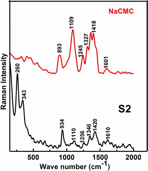 Raman Spectra For Nacmc And Sample S2 Download Scientific Diagram