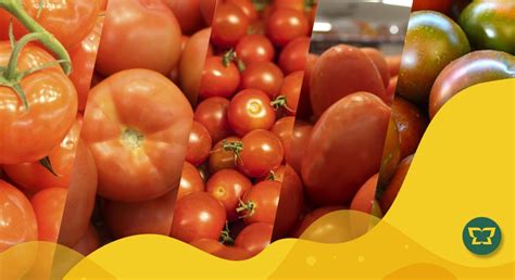 Variedades De Tomates Y Sus Usos En Cocina Masymas Supermercados