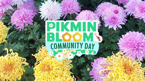 Pikmin Bloom Detalla Su D A De La Comunidad Para Noviembre De