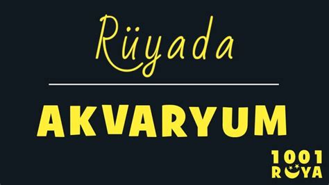 Rüyada Maymun Görmek Ne Demek Diyanet İslami ve Dini Ruya Yorumu