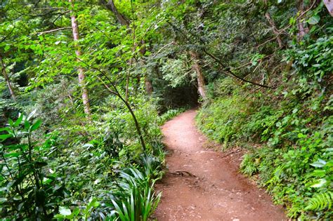 Mt Takao Discount Ticket For Keio Trains Cable Car And Chair Lifts