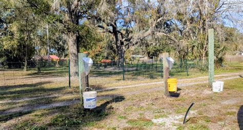 Meat Chicken Processing Set Up, Equipment, and Tools - Reformed Acres