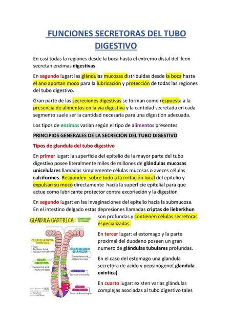 Funciones Secretoras Del Tubo Digestivo Adonay Franco UDocz