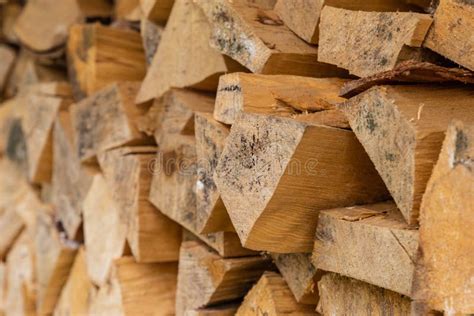 Firewood Dry Chopped Log Wooden Smooth Background Close Up Rustic Eco