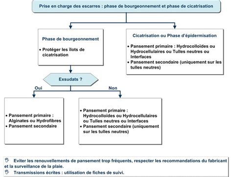 Escarres Pr Vention Et Prise En Charge Date Afsos