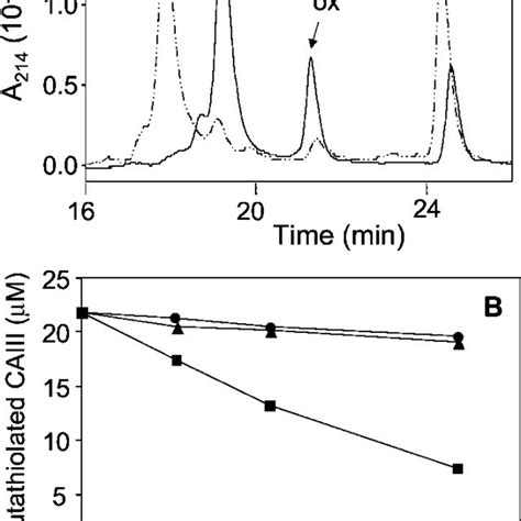 Proposed Catalytic Mechanism Of Action Of Grx A Mechanism Of Action