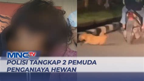 Polisi Tangkap Dua Pemuda Di Jambi Yang Tega Ikat Dan Seret Anjing