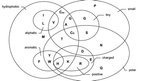 Acids And Bases Venn Diagram