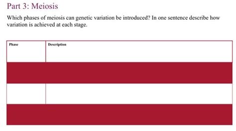 Solved Part 1: Mitotic Cell Cycle A. Draw a circle and label | Chegg.com