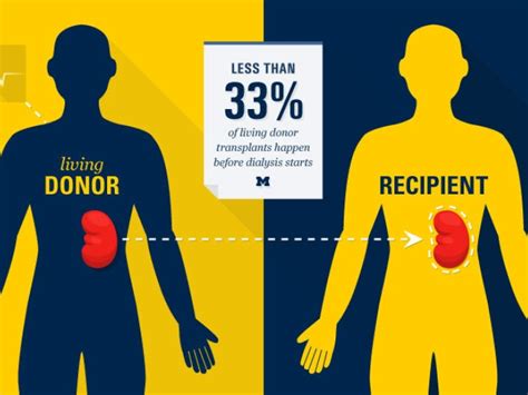 Kidney Transplant Michigan Medicine