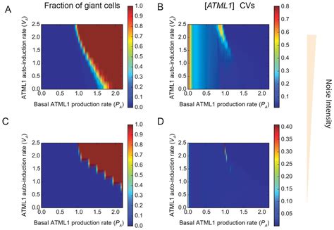 Figures And Data In Fluctuations Of The Transcription Factor Atml