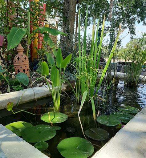 La Casa de Séquoia Chambre d hôte masculin à la campagne Guide Gay Gay Beaucroissant