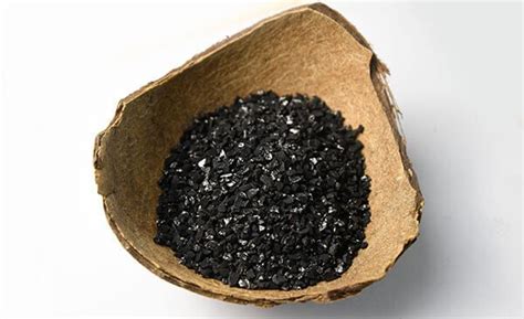 Coconut Shell Activated Carbon Zhulin Carbon