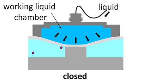 Nanotechnology breakthrough: A single-molecule valve