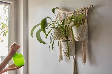 How to Make a Macrame Plant Hanger | Sixty and Me