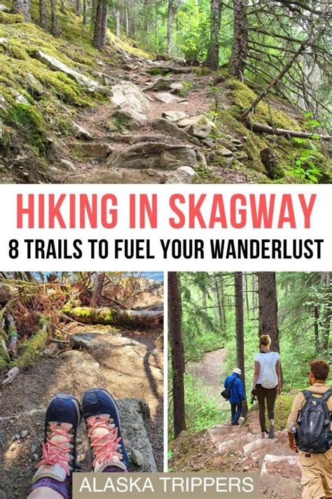 Hiking in Skagway: 8 Easy To Challenging Routes To Explore - Alaska ...