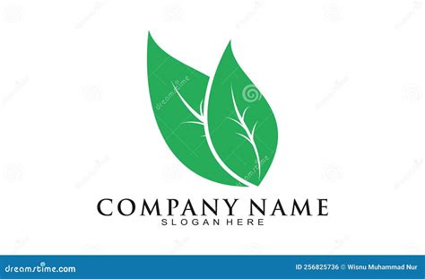 Green Leaf Illustration Logo Design Stock Vector Illustration Of