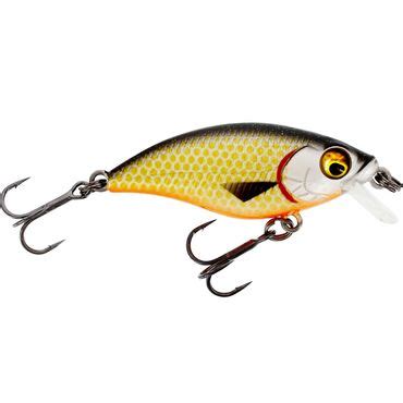 Westin BuzzBite DR Crankbait Floating Wobbler Ihr Angelshop für